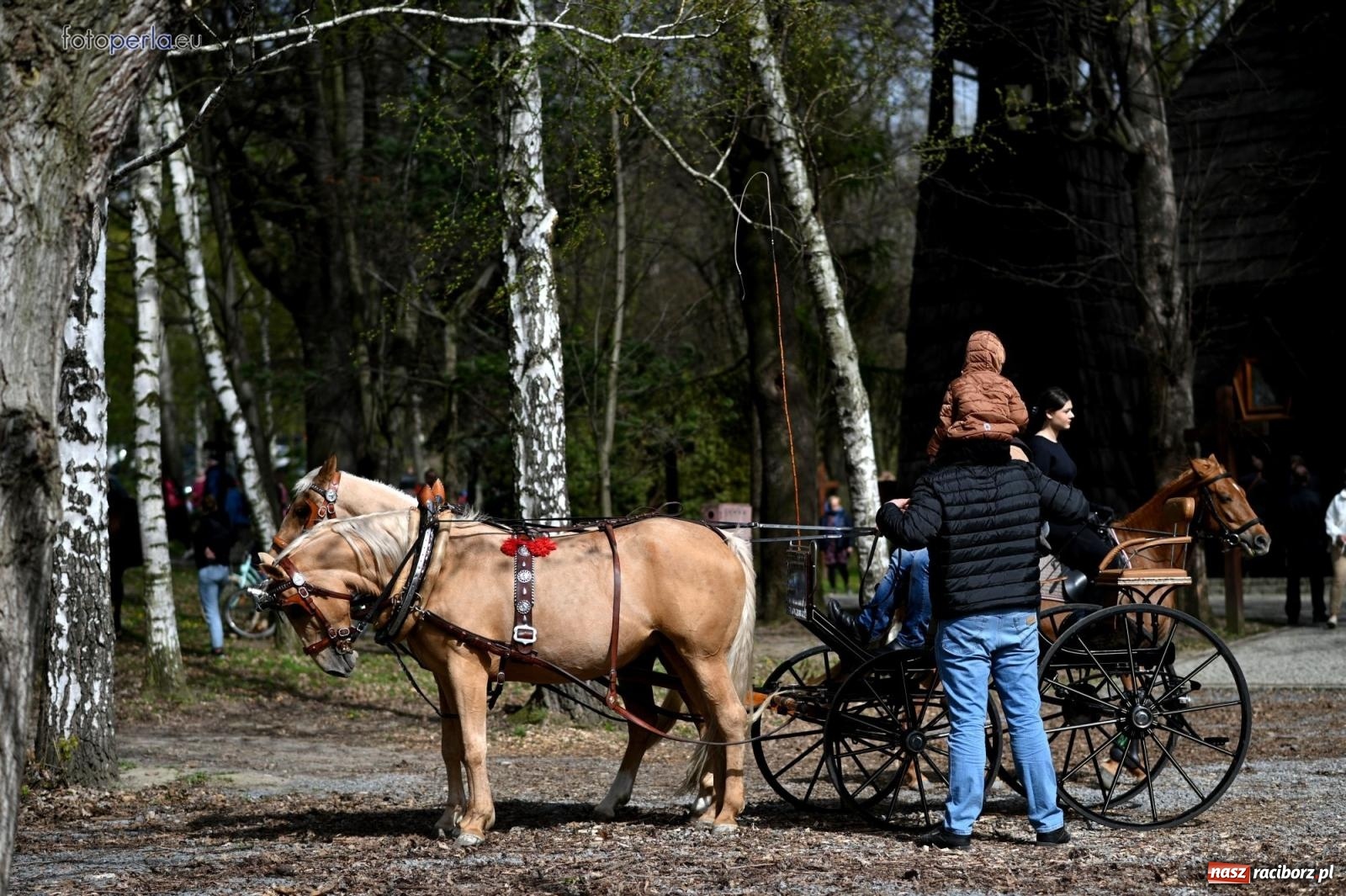 Zdjęcie w galerii na portalu naszraciborz.pl: Procesja w Pietrowicach Wielkich - nabożeństwo i wyścigi wiadomości z regionu