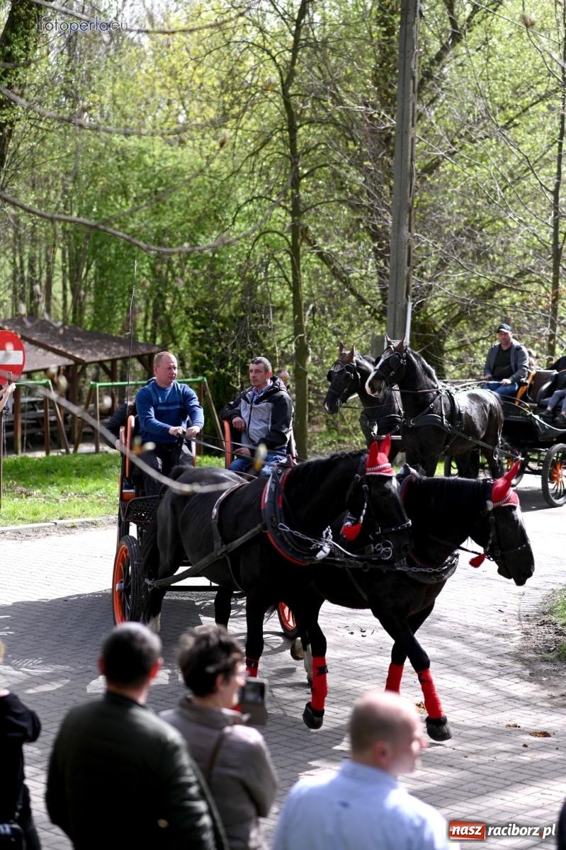 Zdjęcie w galerii na portalu naszraciborz.pl: Procesja w Pietrowicach Wielkich - nabożeństwo i wyścigi wiadomości z regionu