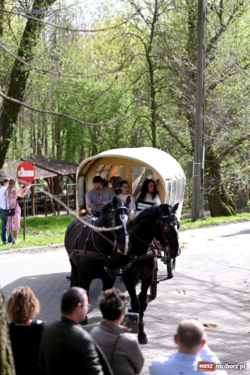 Zdjęcie w galerii na portalu naszraciborz.pl: Procesja w Pietrowicach Wielkich - nabożeństwo i wyścigi wiadomości z regionu
