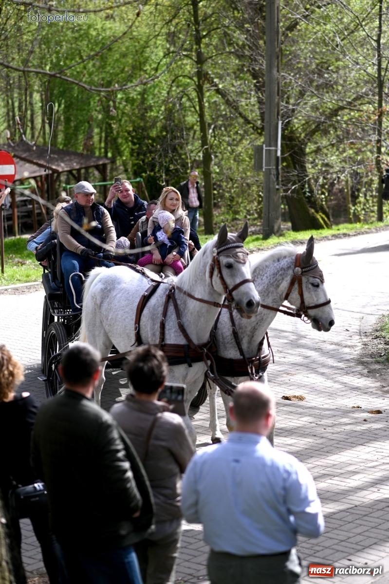 Zdjęcie w galerii na portalu naszraciborz.pl: Procesja w Pietrowicach Wielkich - nabożeństwo i wyścigi wiadomości z regionu