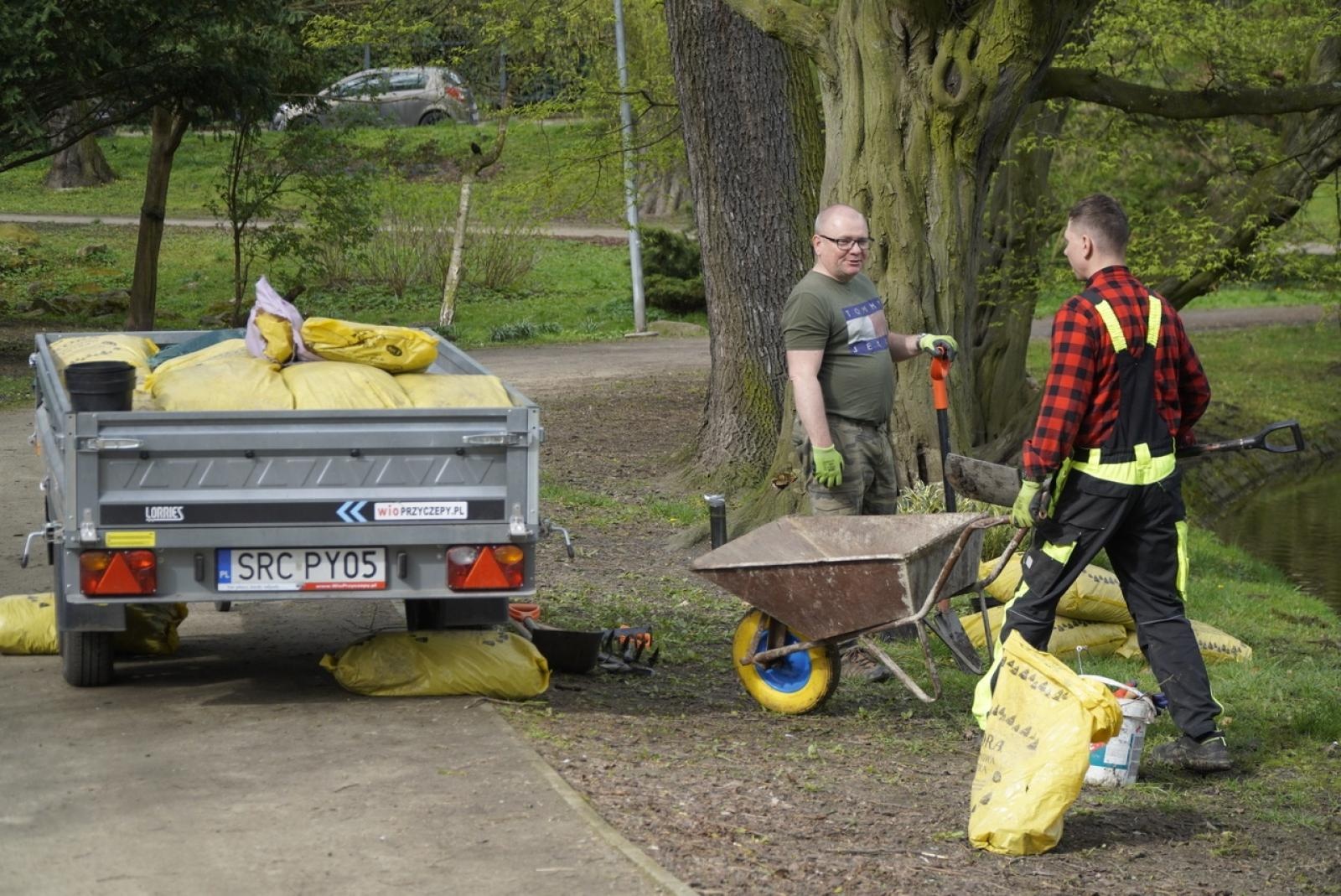 Zdjęcie w galerii na portalu naszraciborz.pl: 50 różaneczników przyozdobiło Park Roth wiadomości z regionu