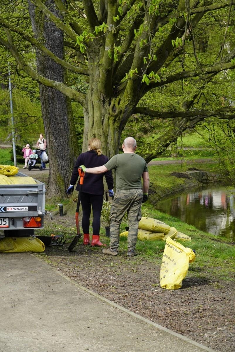 Zdjęcie w galerii na portalu naszraciborz.pl: 50 różaneczników przyozdobiło Park Roth wiadomości z regionu