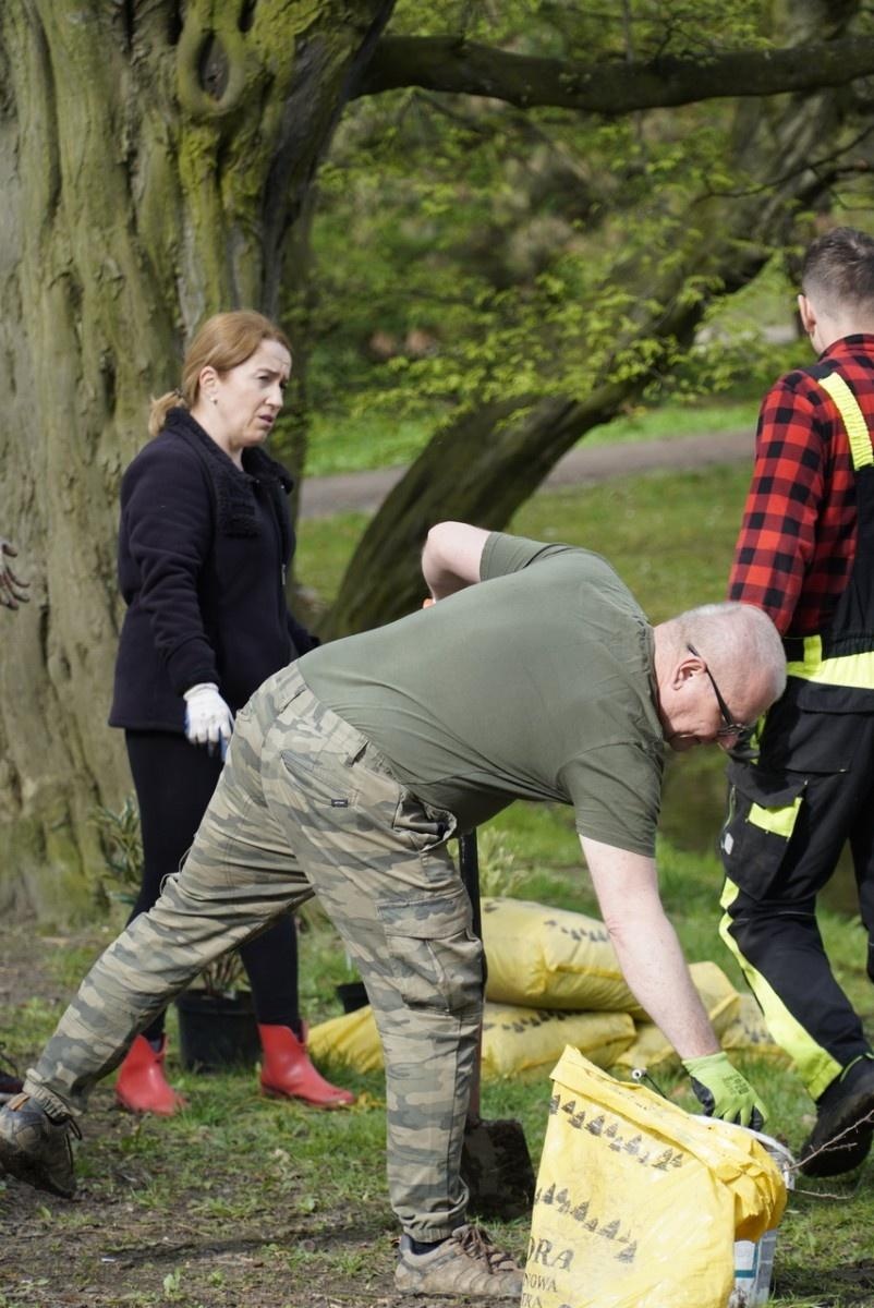 Zdjęcie w galerii na portalu naszraciborz.pl: 50 różaneczników przyozdobiło Park Roth wiadomości z regionu