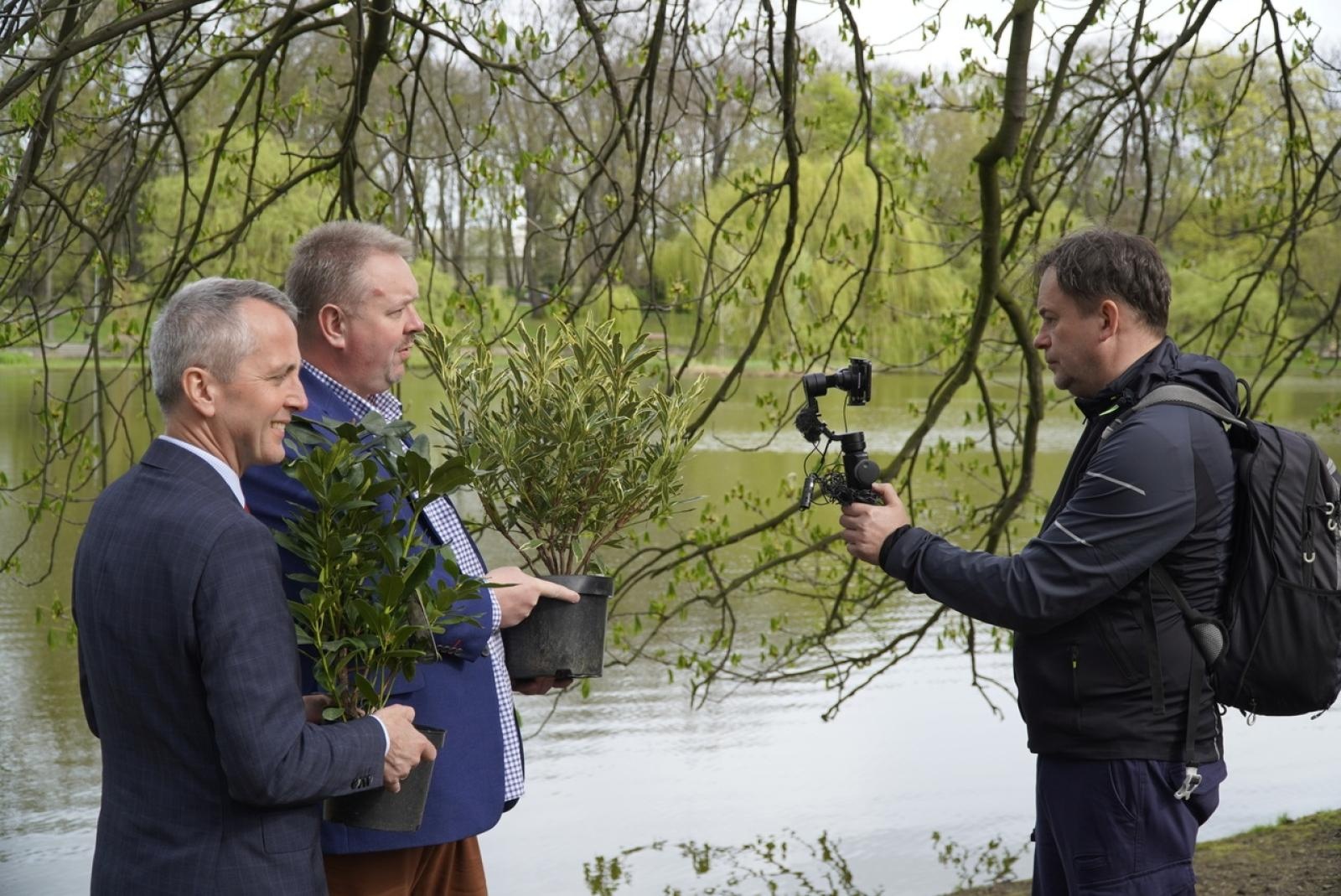 Zdjęcie w galerii na portalu naszraciborz.pl: 50 różaneczników przyozdobiło Park Roth wiadomości z regionu