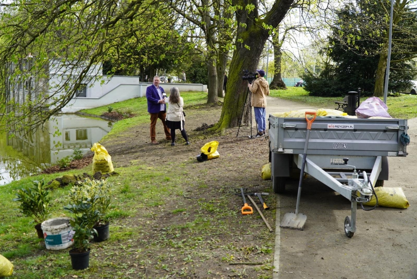 Zdjęcie w galerii na portalu naszraciborz.pl: 50 różaneczników przyozdobiło Park Roth wiadomości z regionu