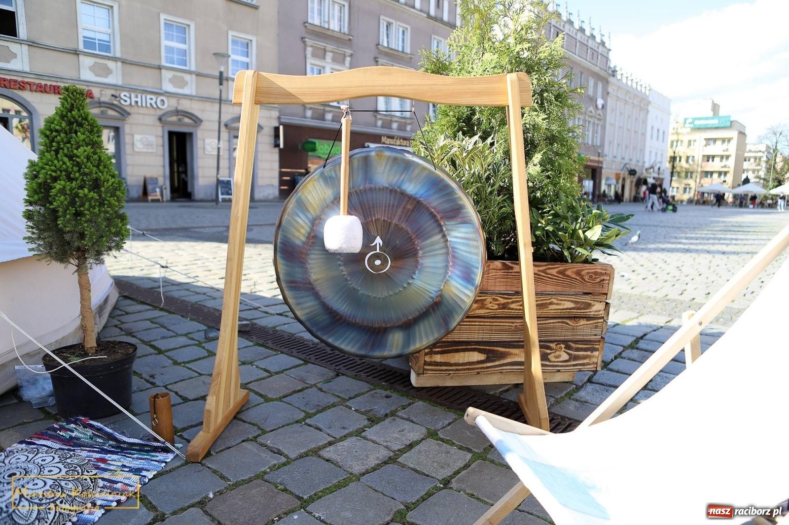 Zdjęcie w galerii na portalu naszraciborz.pl: Sport i sanktuarium natury. Bądź Pro-Zdro na Rynku i pl. Długosza wiadomości z regionu