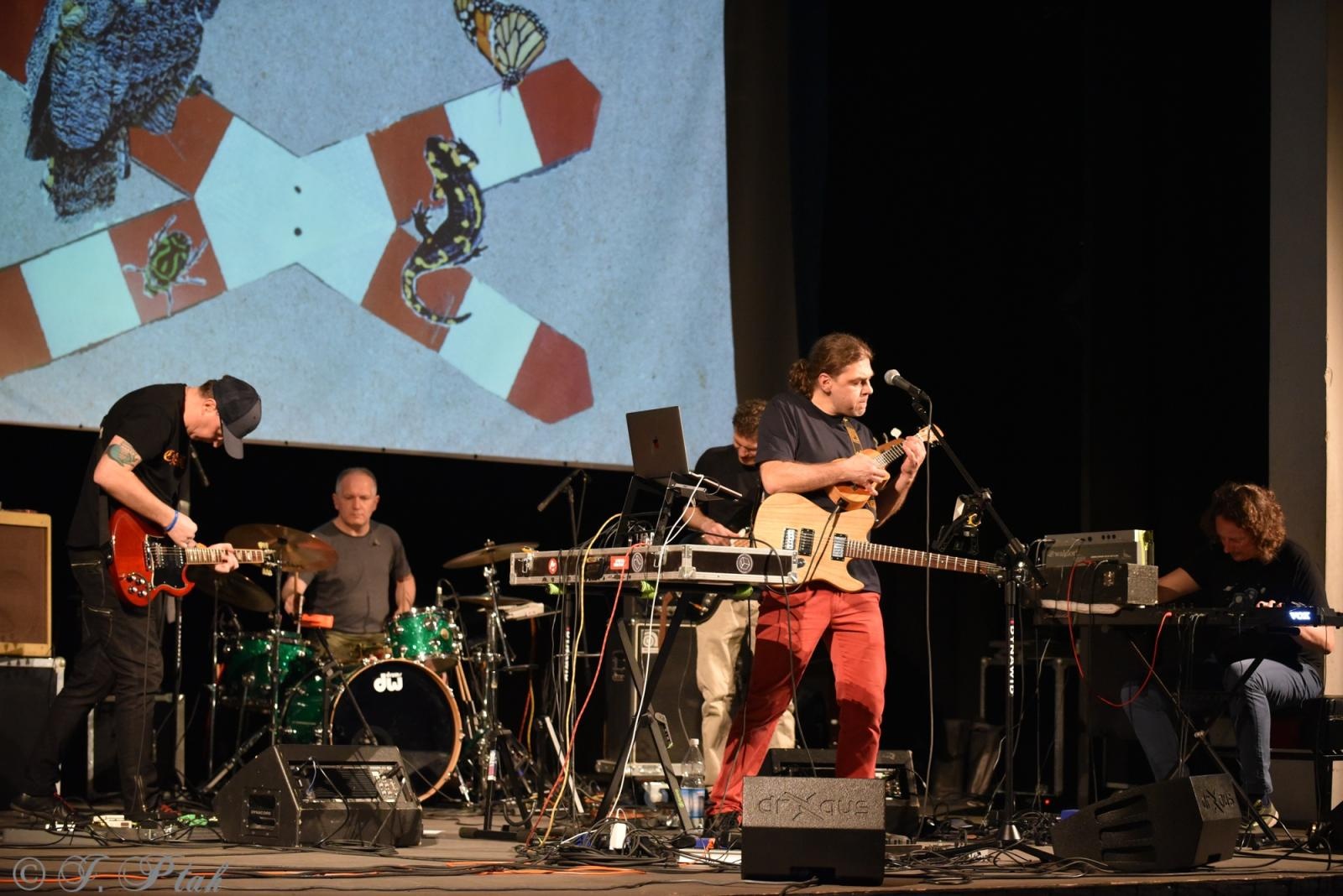 Zdjęcie w galerii na portalu naszraciborz.pl: The Band of Endless Noise. Koncert w Strzesze wiadomości z regionu