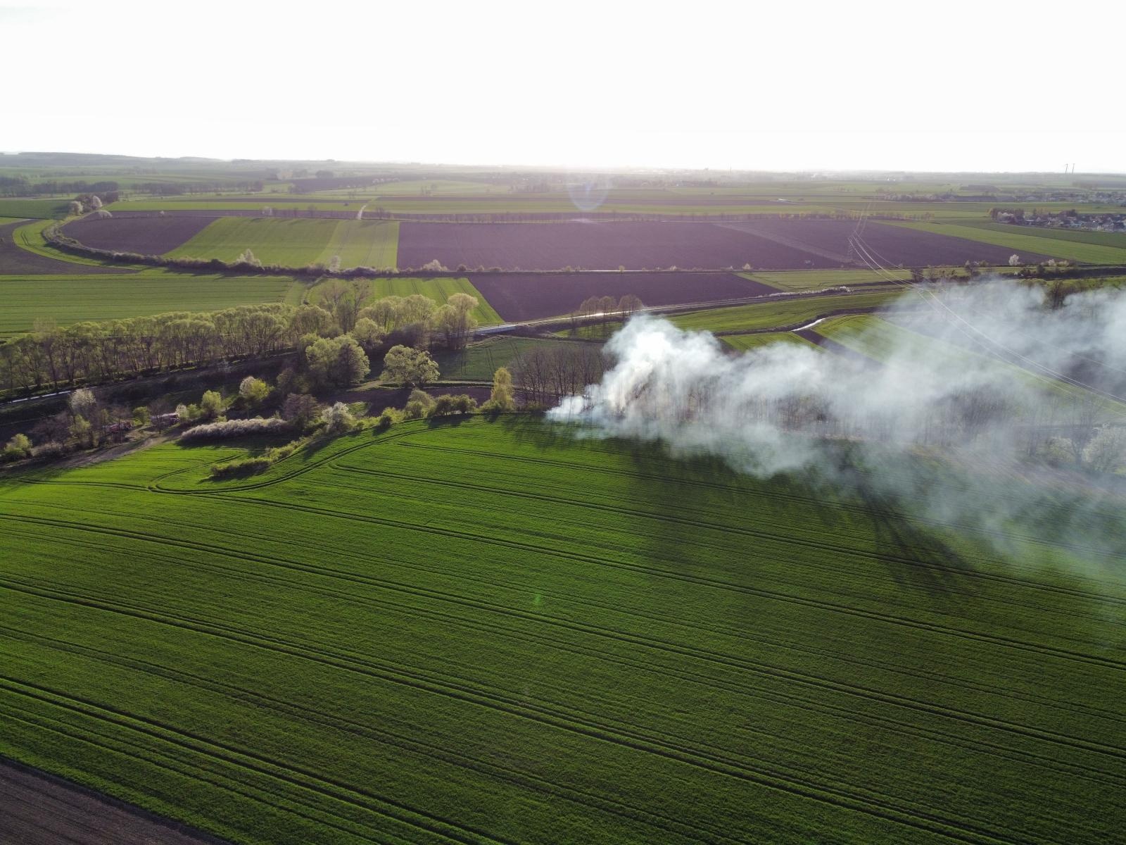 Zdjęcie w galerii na portalu naszraciborz.pl: W Cyprzanowie paliła się trawa [FOTO] wiadomości z regionu