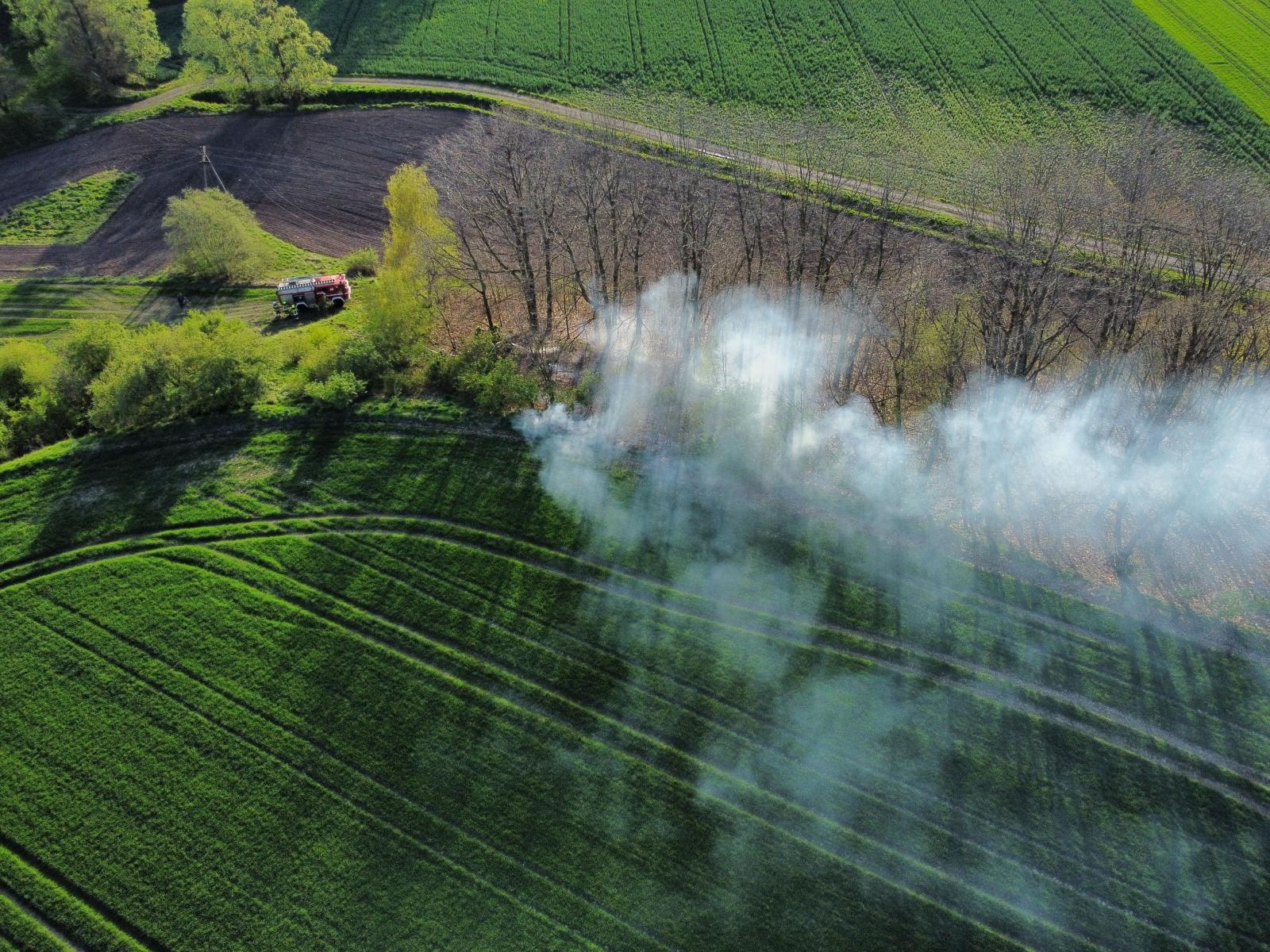 Zdjęcie w galerii na portalu naszraciborz.pl: W Cyprzanowie paliła się trawa [FOTO] wiadomości z regionu