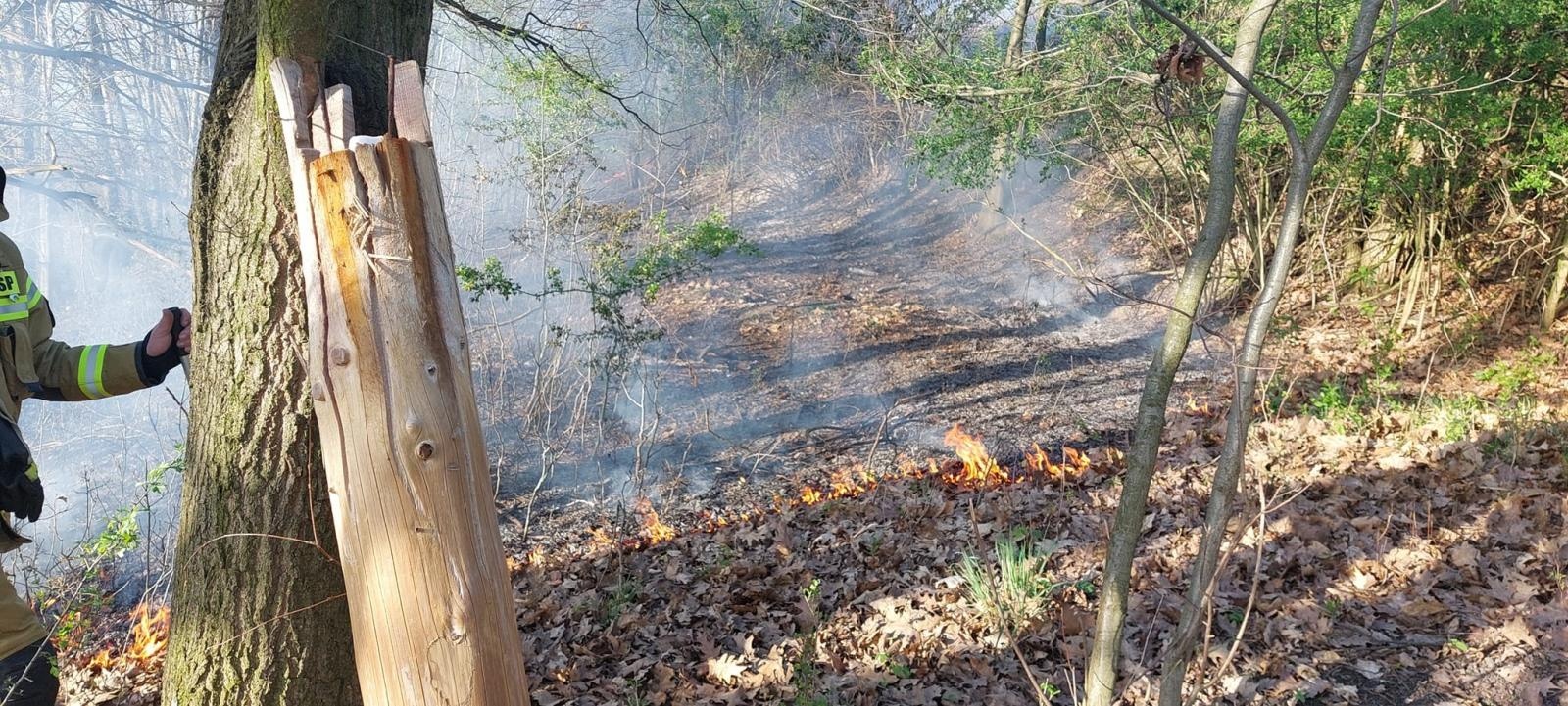 Zdjęcie w galerii na portalu naszraciborz.pl: W Cyprzanowie paliła się trawa [FOTO] wiadomości z regionu