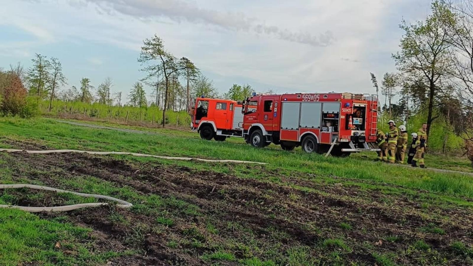 Zdjęcie w galerii na portalu naszraciborz.pl: Pożar młodnika w Kuźni Raciborskiej [FOTO] wiadomości z regionu