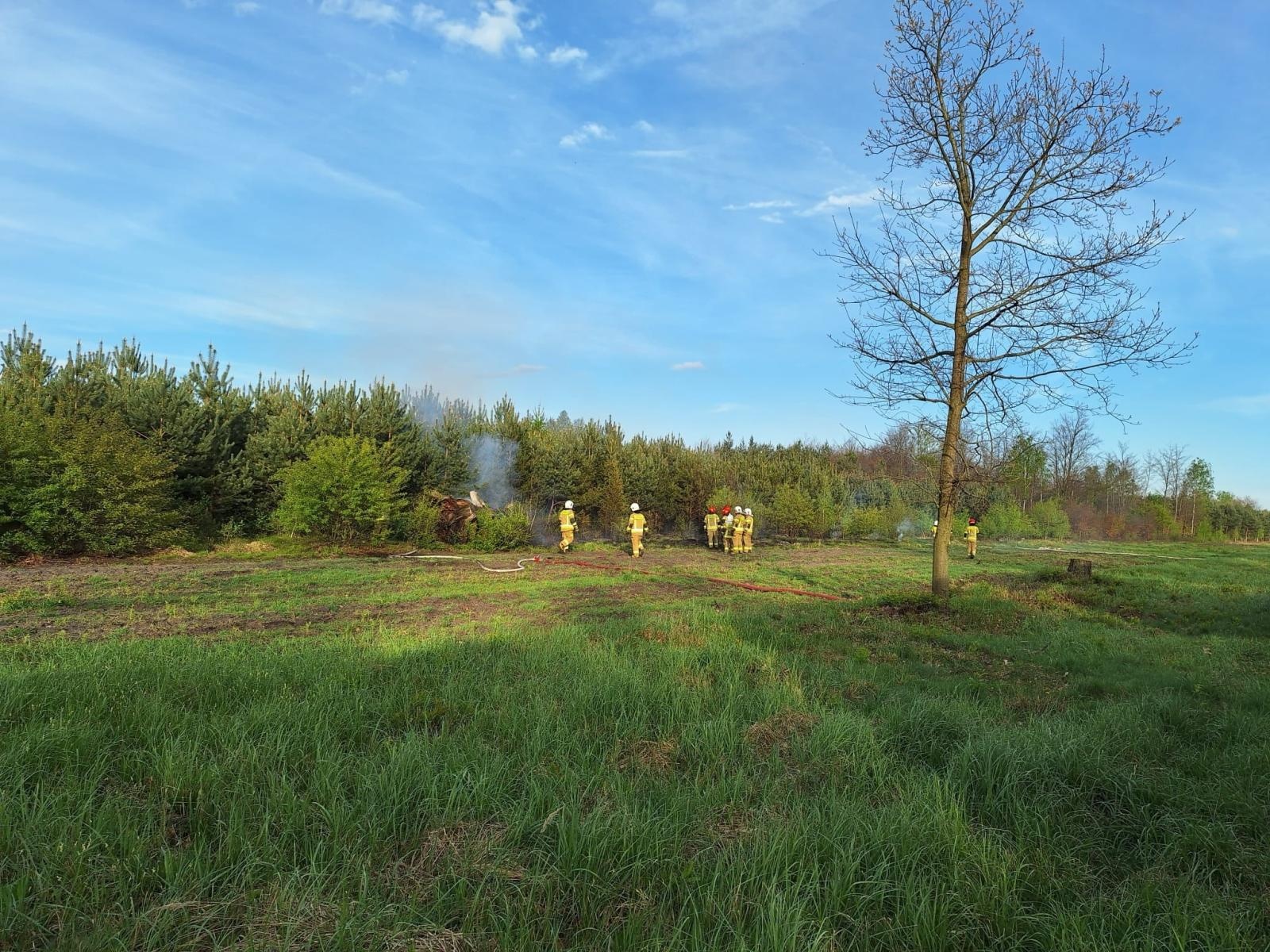 Zdjęcie w galerii na portalu naszraciborz.pl: Pożar młodnika w Kuźni Raciborskiej [FOTO] wiadomości z regionu