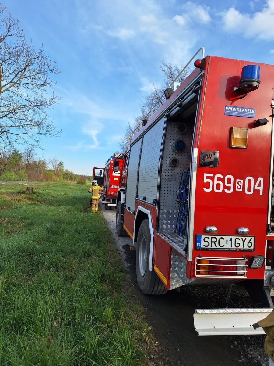 Zdjęcie w galerii na portalu naszraciborz.pl: Pożar młodnika w Kuźni Raciborskiej [FOTO] wiadomości z regionu