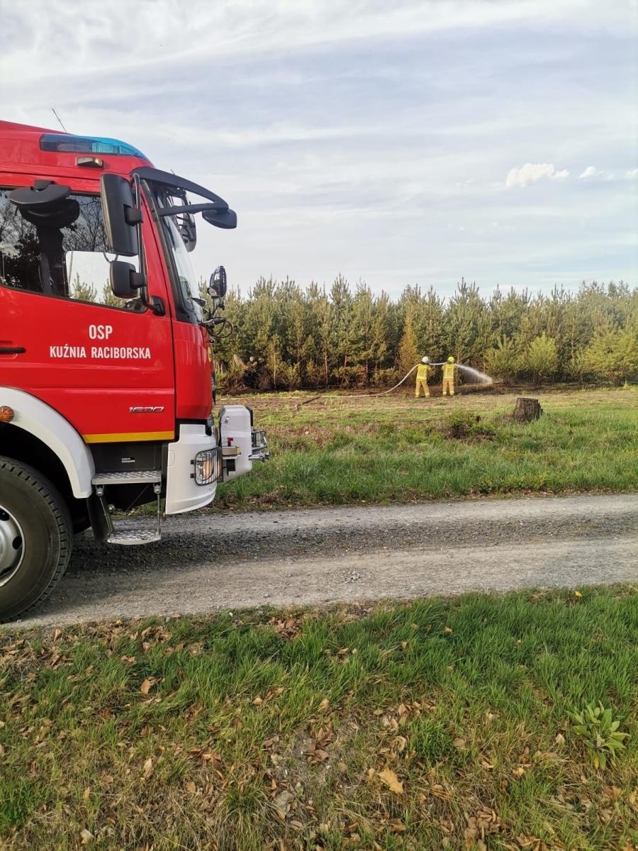 Zdjęcie w galerii na portalu naszraciborz.pl: Pożar młodnika w Kuźni Raciborskiej [FOTO] wiadomości z regionu
