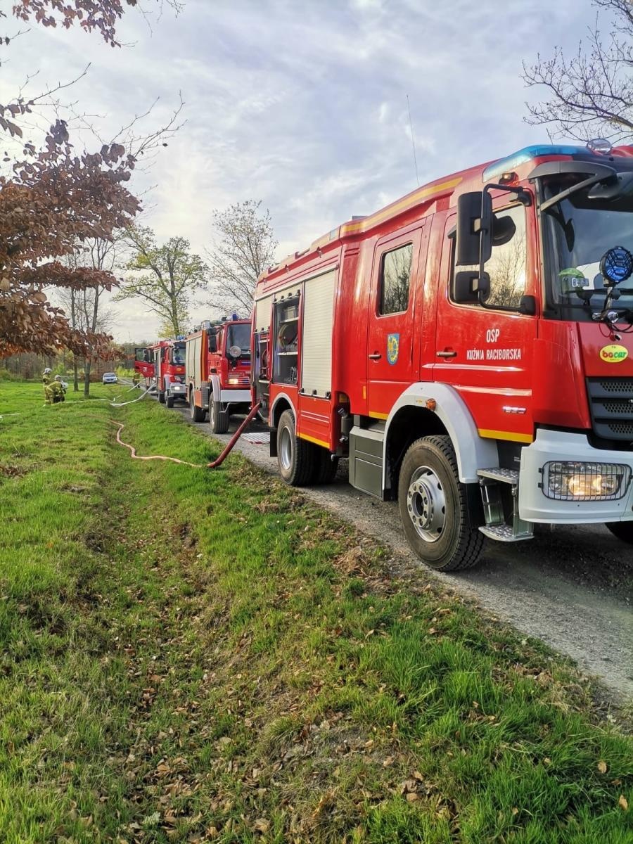 Zdjęcie w galerii na portalu naszraciborz.pl: Pożar młodnika w Kuźni Raciborskiej [FOTO] wiadomości z regionu
