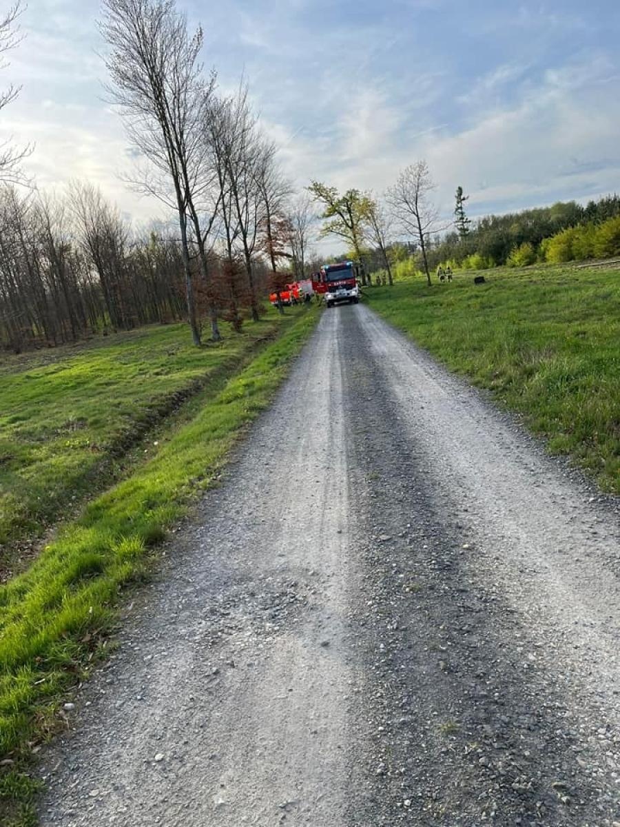 Zdjęcie w galerii na portalu naszraciborz.pl: Pożar młodnika w Kuźni Raciborskiej [FOTO] wiadomości z regionu