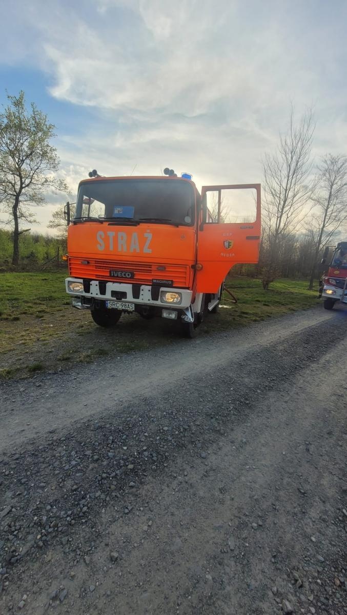 Zdjęcie w galerii na portalu naszraciborz.pl: Pożar młodnika w Kuźni Raciborskiej [FOTO] wiadomości z regionu