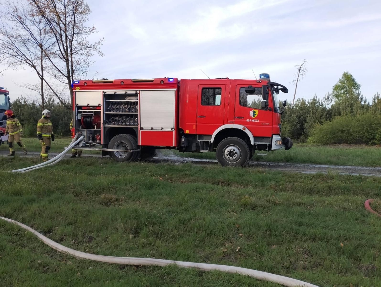 Zdjęcie w galerii na portalu naszraciborz.pl: Pożar młodnika w Kuźni Raciborskiej [FOTO] wiadomości z regionu