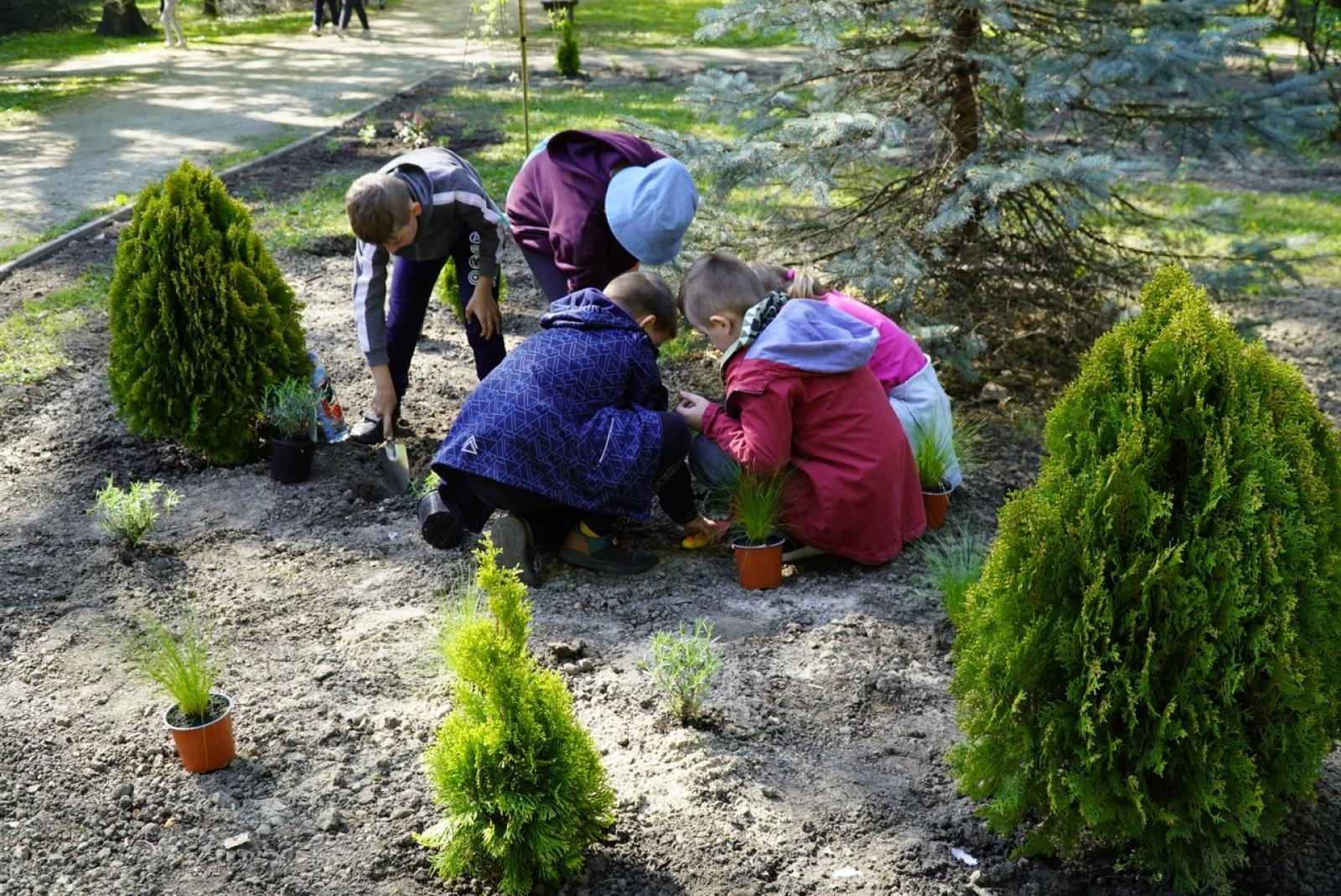 Zdjęcie w galerii na portalu naszraciborz.pl: Park im. Franciszka Stala zmienia się nie do poznania wiadomości z regionu