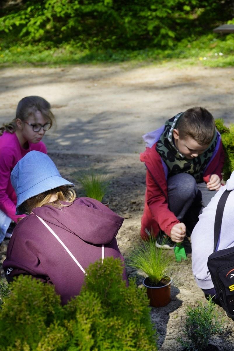 Zdjęcie w galerii na portalu naszraciborz.pl: Park im. Franciszka Stala zmienia się nie do poznania wiadomości z regionu