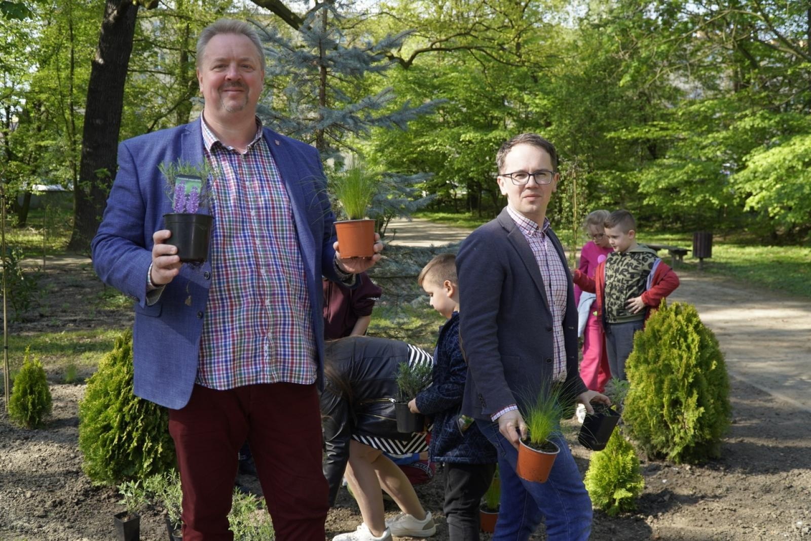 Zdjęcie w galerii na portalu naszraciborz.pl: Park im. Franciszka Stala zmienia się nie do poznania wiadomości z regionu