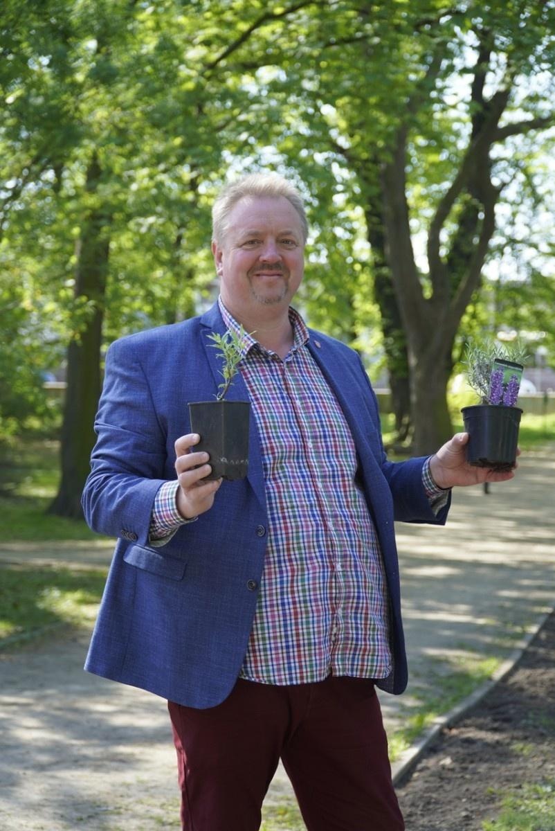 Zdjęcie w galerii na portalu naszraciborz.pl: Park im. Franciszka Stala zmienia się nie do poznania wiadomości z regionu