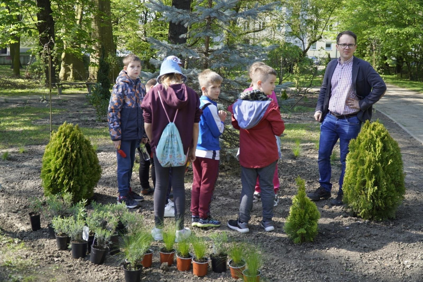 Zdjęcie w galerii na portalu naszraciborz.pl: Park im. Franciszka Stala zmienia się nie do poznania wiadomości z regionu