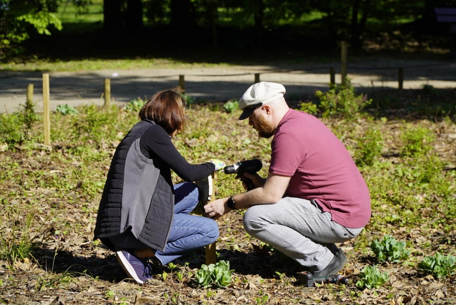 Zdjęcie w galerii na portalu naszraciborz.pl: Park im. Franciszka Stala zmienia się nie do poznania wiadomości z regionu