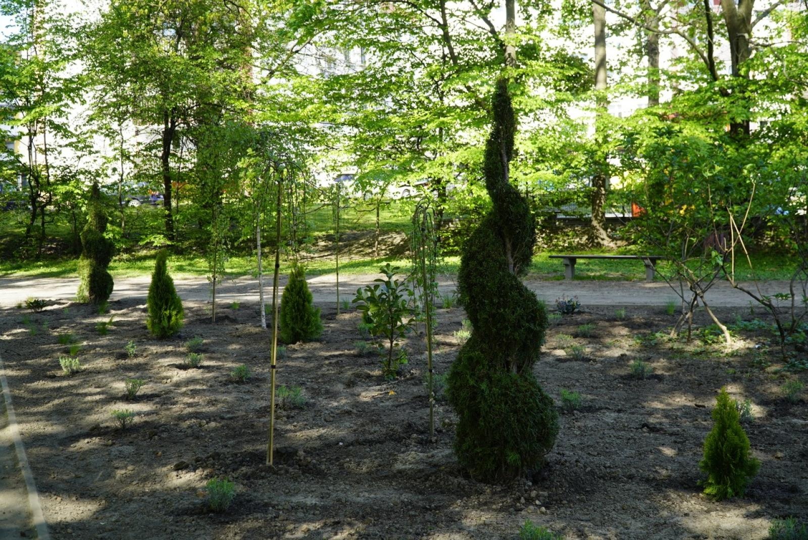 Zdjęcie w galerii na portalu naszraciborz.pl: Park im. Franciszka Stala zmienia się nie do poznania wiadomości z regionu