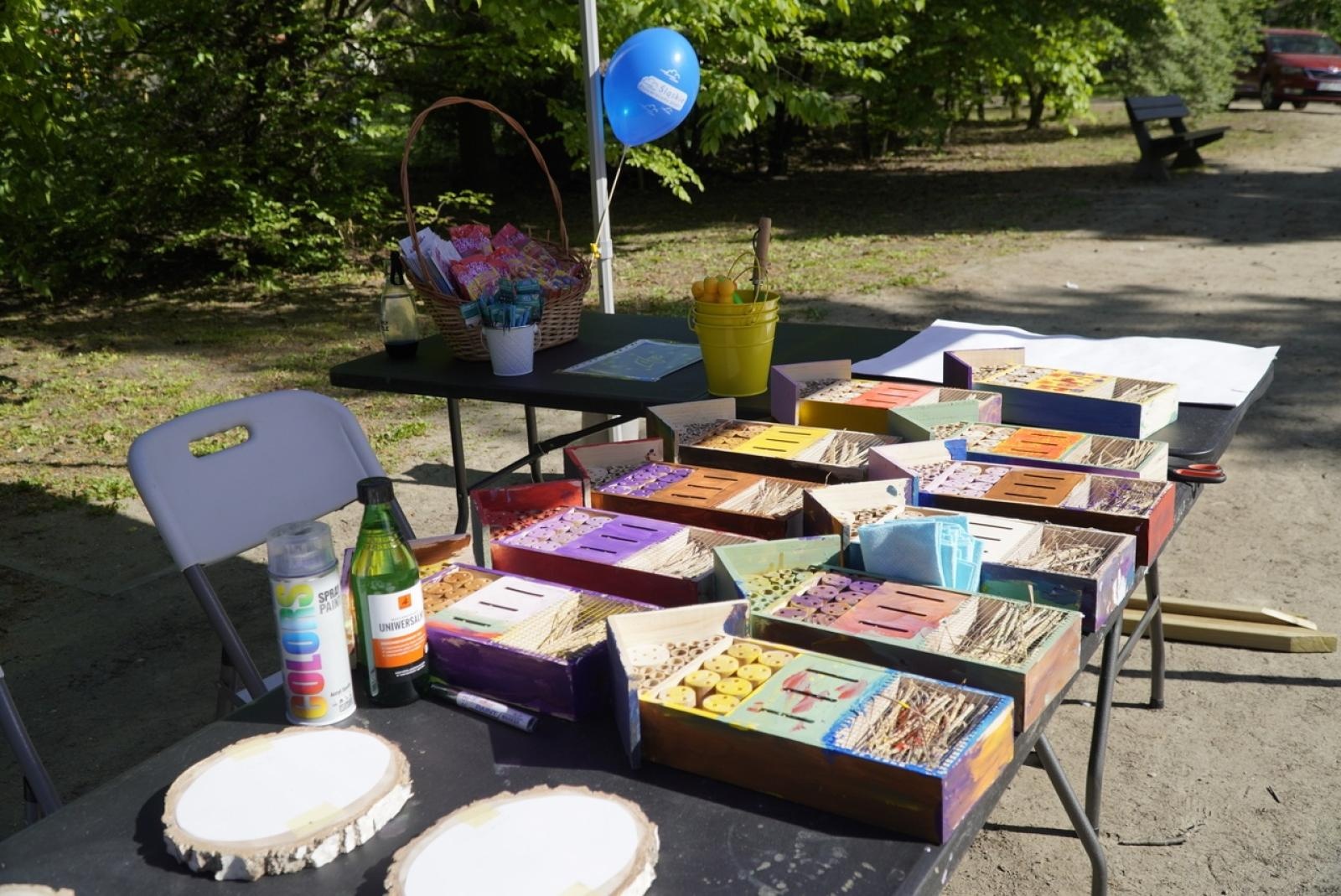 Zdjęcie w galerii na portalu naszraciborz.pl: Park im. Franciszka Stala zmienia się nie do poznania wiadomości z regionu