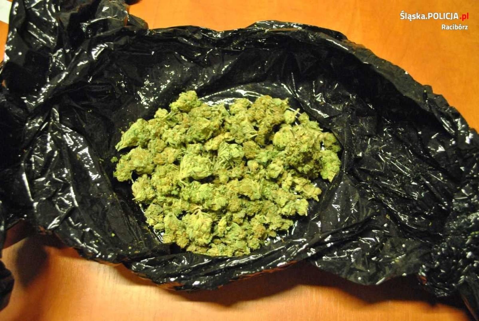 Zdjęcie w galerii na portalu naszraciborz.pl: Akcja raciborskiej policji i CBŚP przeciwko dilerom narkotyków wiadomości z regionu