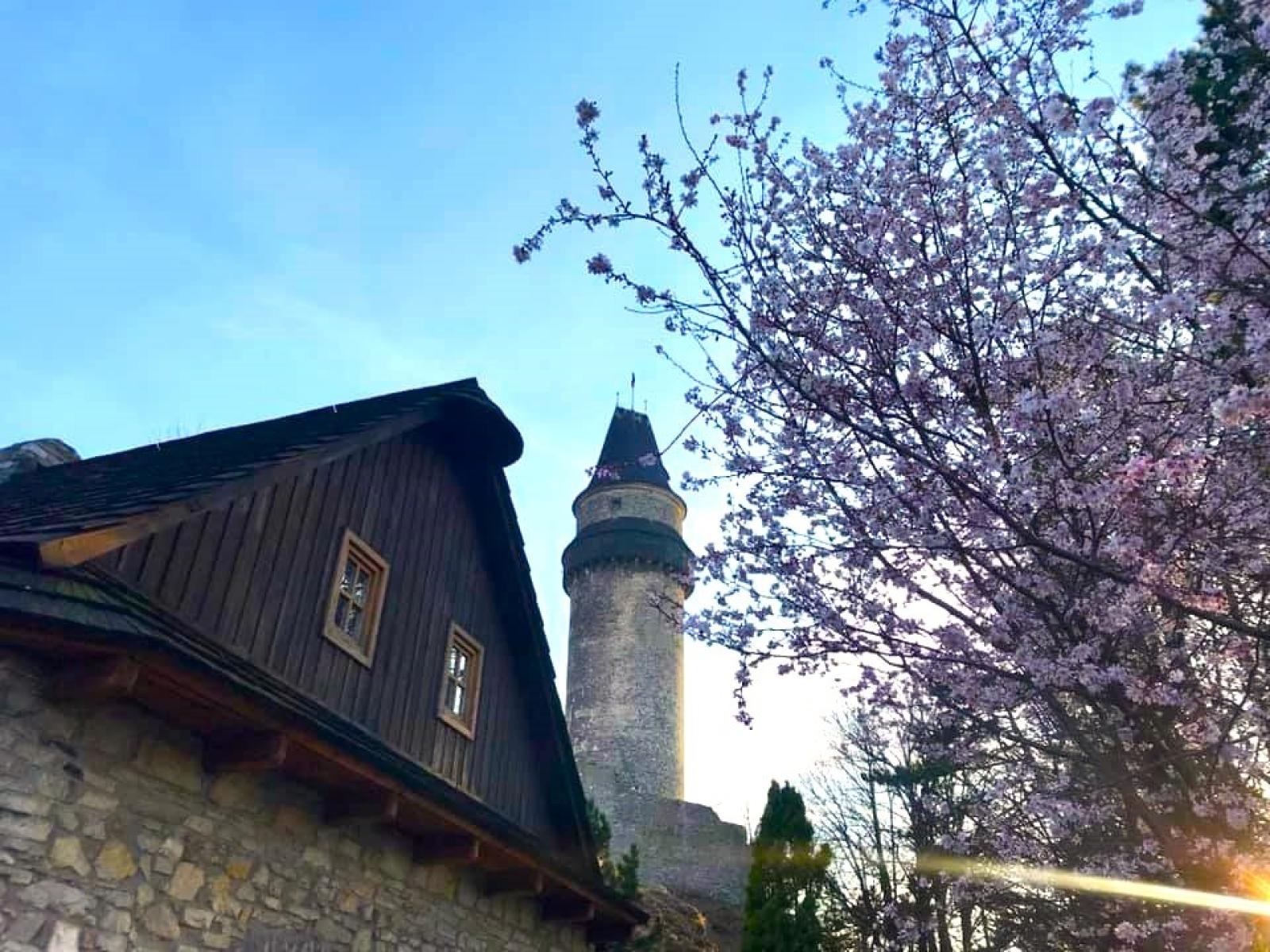 Zdjęcie w galerii na portalu naszraciborz.pl: Wiosenne podróże z raciborskim biurem podróży Orinoko Art & Travel wiadomości z regionu