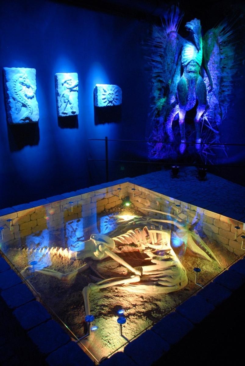 Zdjęcie w galerii na portalu naszraciborz.pl: Wiosenne podróże z raciborskim biurem podróży Orinoko Art & Travel wiadomości z regionu