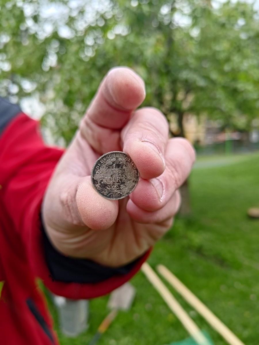Zdjęcie w galerii na portalu naszraciborz.pl: Dwie wyjątkowe grusze upiększyły Park Jordanowski wiadomości z regionu