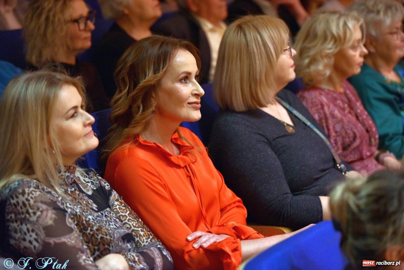 Zdjęcie w galerii na portalu naszraciborz.pl: Hiszpańsko-kubańska fiesta II LO. Torres & Havana Dream na bis! wiadomości z regionu