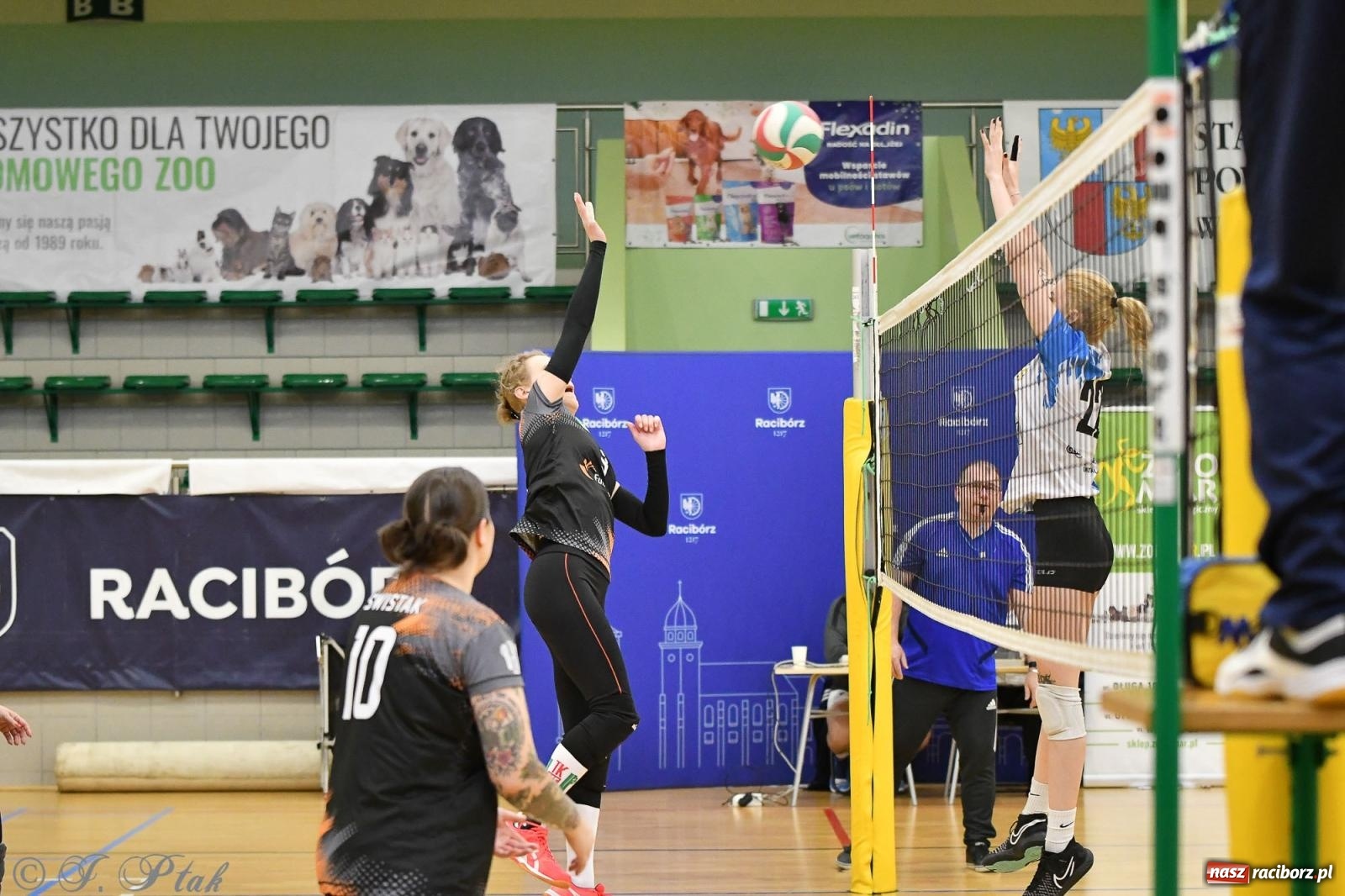 Zdjęcie w galerii na portalu naszraciborz.pl: XXVII sezon Zoo-Mar JP Telebim RLPS przeszedł do historii [FOTO i WIDEO] wiadomości z regionu