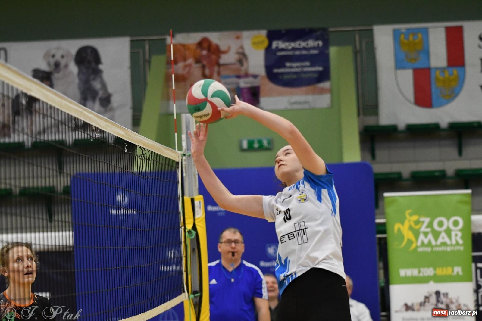 Zdjęcie w galerii na portalu naszraciborz.pl: XXVII sezon Zoo-Mar JP Telebim RLPS przeszedł do historii [FOTO i WIDEO] wiadomości z regionu