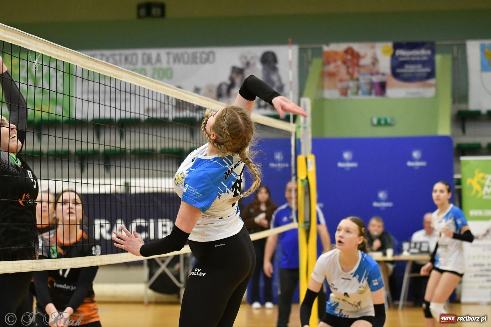 Zdjęcie w galerii na portalu naszraciborz.pl: XXVII sezon Zoo-Mar JP Telebim RLPS przeszedł do historii [FOTO i WIDEO] wiadomości z regionu