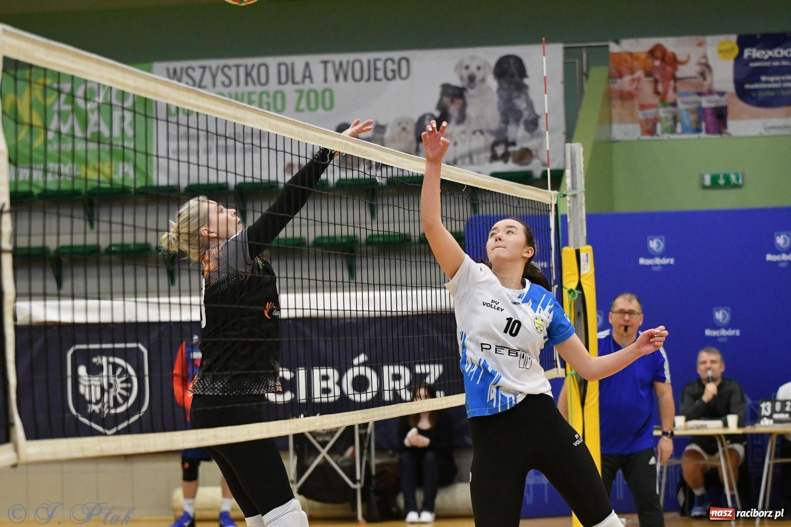 Zdjęcie w galerii na portalu naszraciborz.pl: XXVII sezon Zoo-Mar JP Telebim RLPS przeszedł do historii [FOTO i WIDEO] wiadomości z regionu