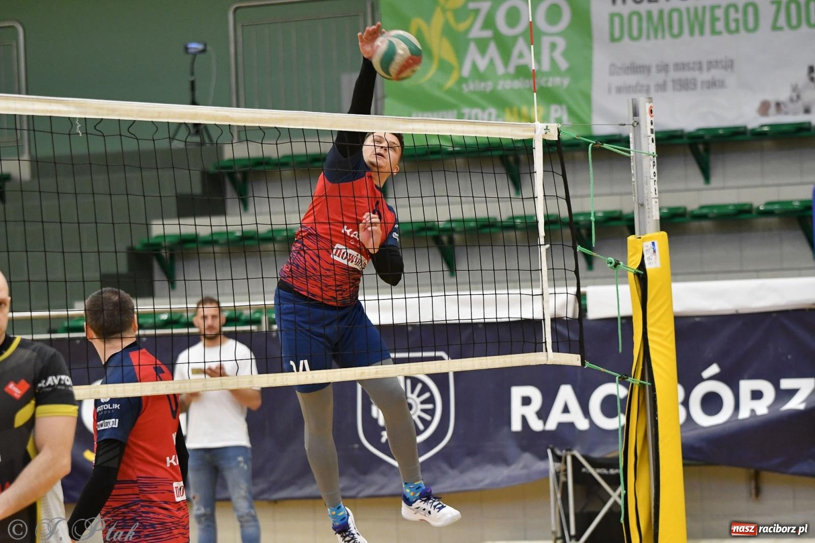 Zdjęcie w galerii na portalu naszraciborz.pl: XXVII sezon Zoo-Mar JP Telebim RLPS przeszedł do historii [FOTO i WIDEO] wiadomości z regionu