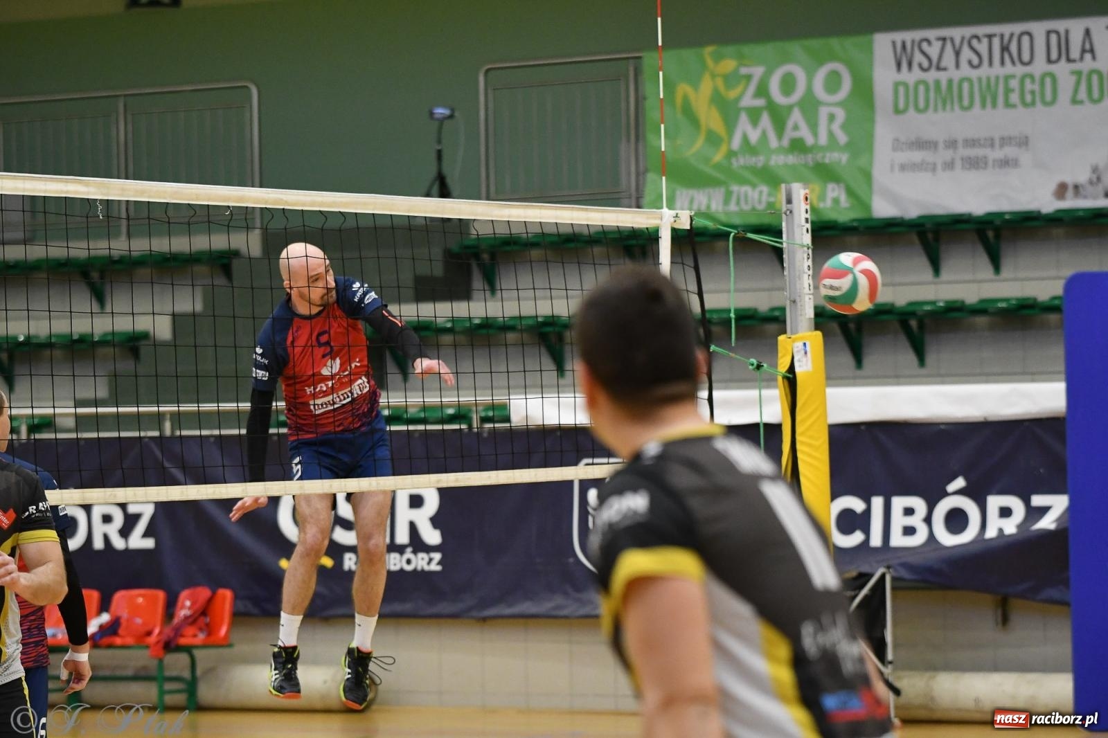 Zdjęcie w galerii na portalu naszraciborz.pl: XXVII sezon Zoo-Mar JP Telebim RLPS przeszedł do historii [FOTO i WIDEO] wiadomości z regionu