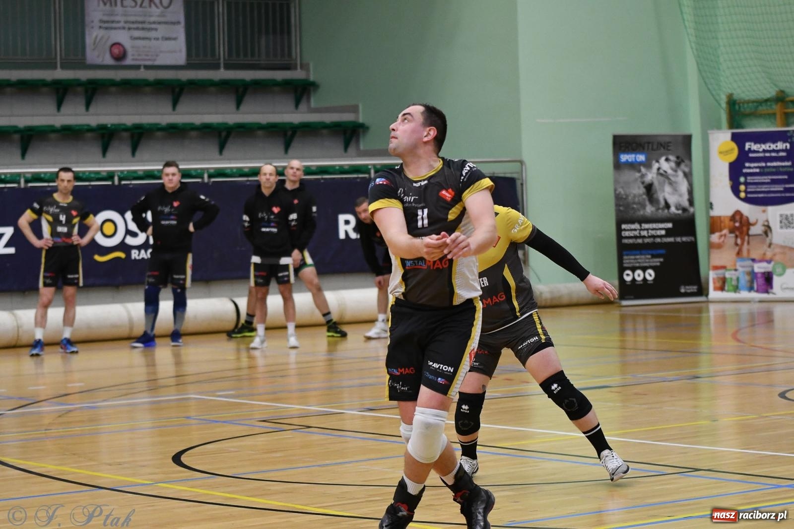 Zdjęcie w galerii na portalu naszraciborz.pl: XXVII sezon Zoo-Mar JP Telebim RLPS przeszedł do historii [FOTO i WIDEO] wiadomości z regionu