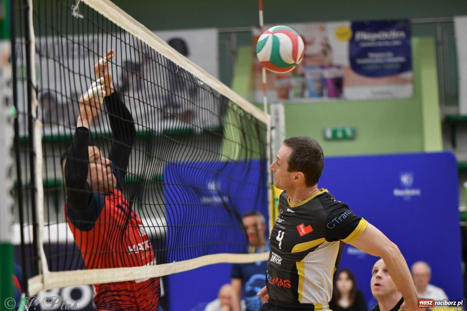 Zdjęcie w galerii na portalu naszraciborz.pl: XXVII sezon Zoo-Mar JP Telebim RLPS przeszedł do historii [FOTO i WIDEO] wiadomości z regionu