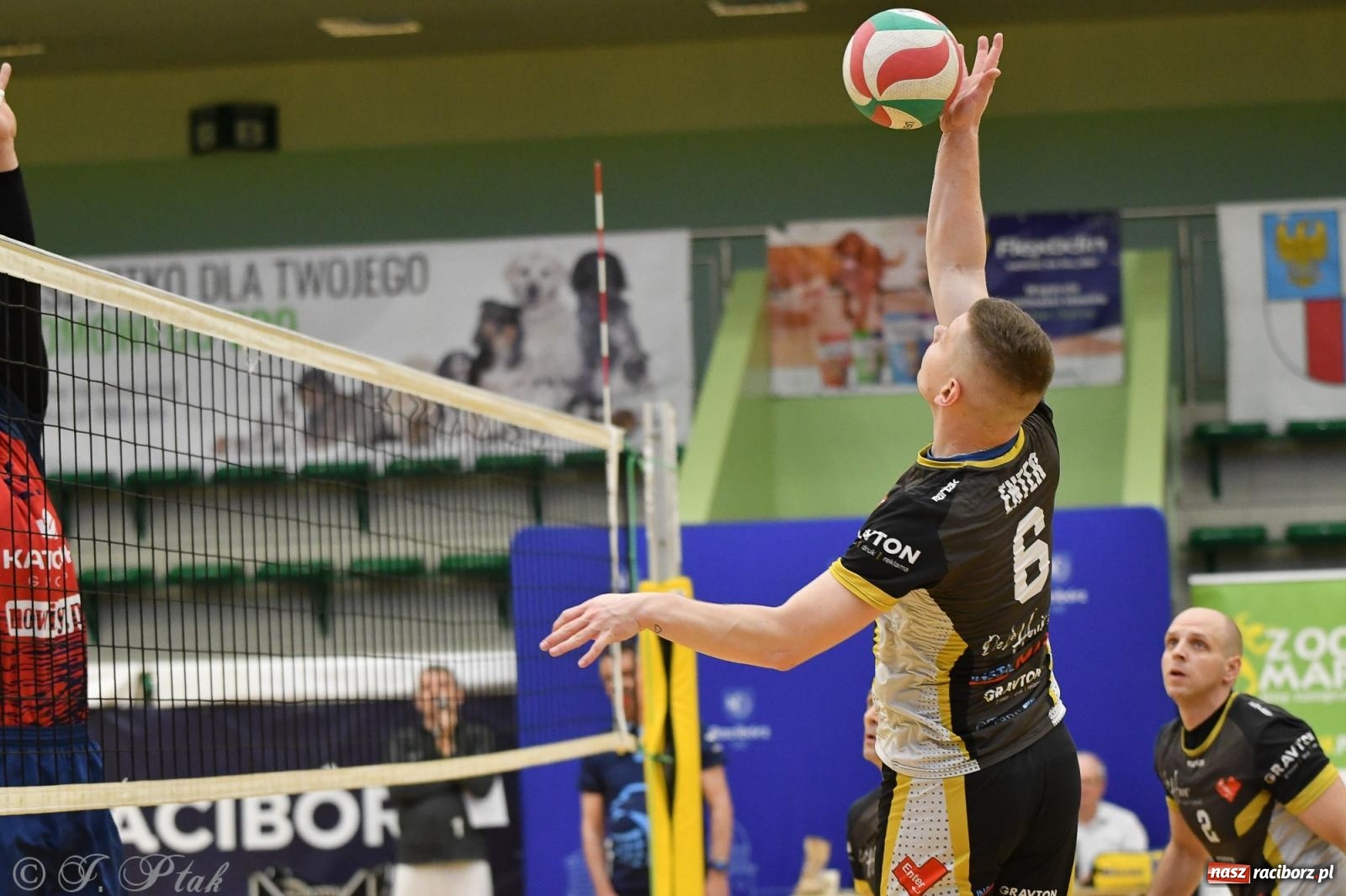 Zdjęcie w galerii na portalu naszraciborz.pl: XXVII sezon Zoo-Mar JP Telebim RLPS przeszedł do historii [FOTO i WIDEO] wiadomości z regionu