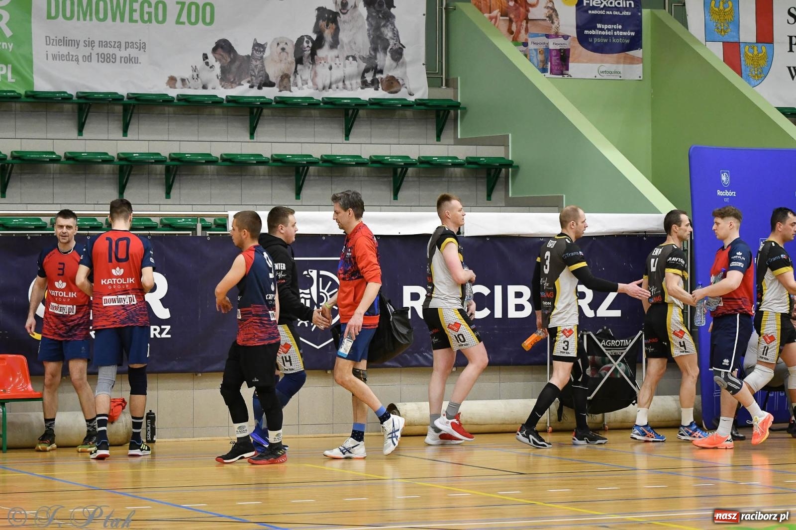 Zdjęcie w galerii na portalu naszraciborz.pl: XXVII sezon Zoo-Mar JP Telebim RLPS przeszedł do historii [FOTO i WIDEO] wiadomości z regionu