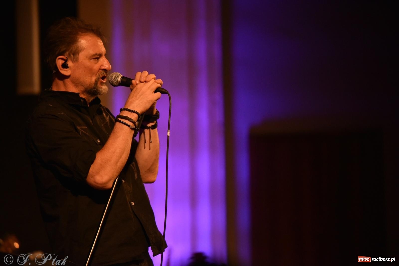 Zdjęcie w galerii na portalu naszraciborz.pl: Legenda polskiego rocka na scenie RCK. Sztywny Pal Azji w Raciborzu wiadomości z regionu