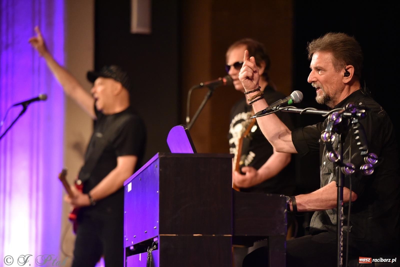 Zdjęcie w galerii na portalu naszraciborz.pl: Legenda polskiego rocka na scenie RCK. Sztywny Pal Azji w Raciborzu wiadomości z regionu