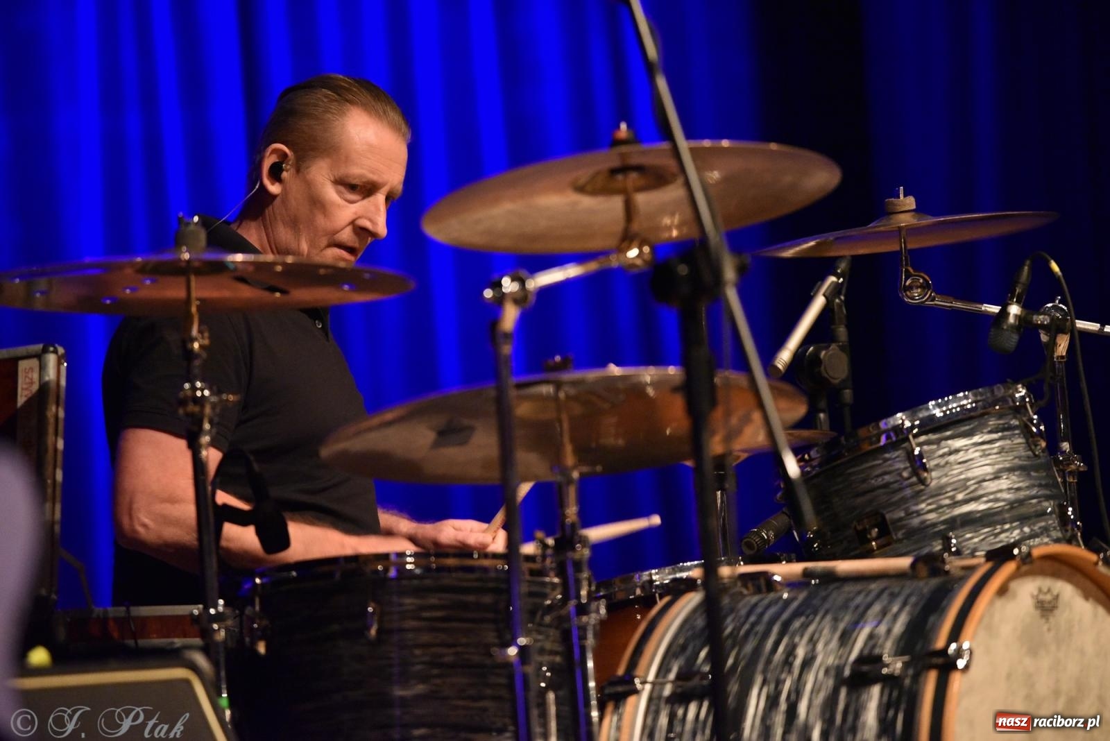 Zdjęcie w galerii na portalu naszraciborz.pl: Legenda polskiego rocka na scenie RCK. Sztywny Pal Azji w Raciborzu wiadomości z regionu