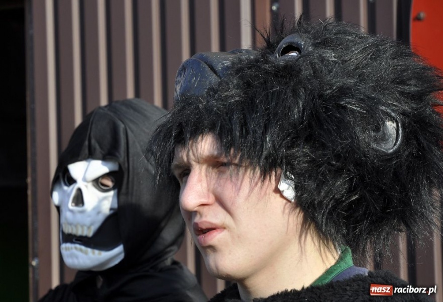 Zdjęcie w galerii na portalu naszraciborz.pl: Zatańcz z berem. Na szczęście wiadomości z regionu