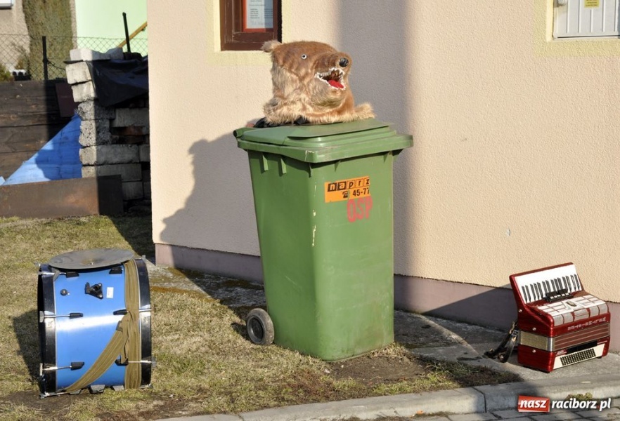 Zdjęcie w galerii na portalu naszraciborz.pl: Zatańcz z berem. Na szczęście wiadomości z regionu